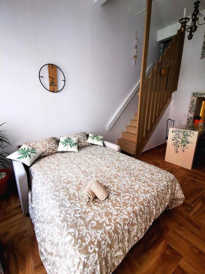 Charming Portuguese Style Apartment, For Rent "Vida A Portuguesa", "Fruta Or Polvo" Alojamento Local 波尔蒂芒 外观 照片