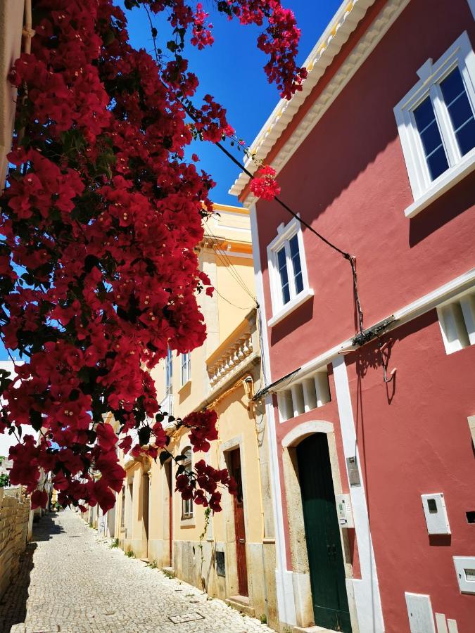 Charming Portuguese Style Apartment, For Rent "Vida A Portuguesa", "Fruta Or Polvo" Alojamento Local 波尔蒂芒 外观 照片