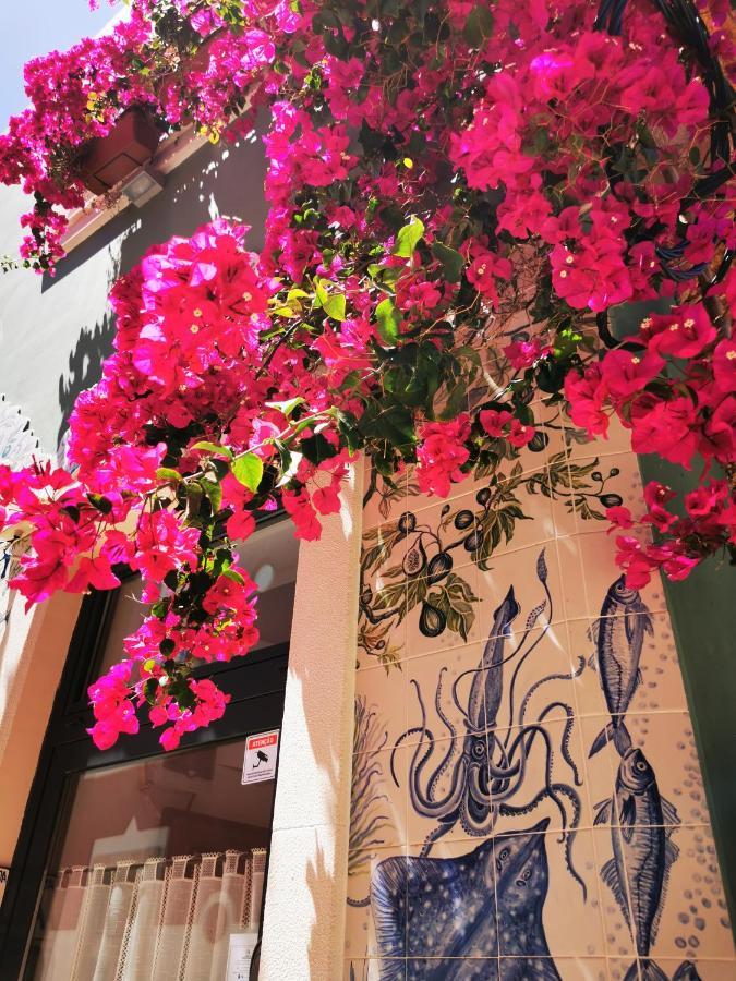 Charming Portuguese Style Apartment, For Rent "Vida A Portuguesa", "Fruta Or Polvo" Alojamento Local 波尔蒂芒 外观 照片