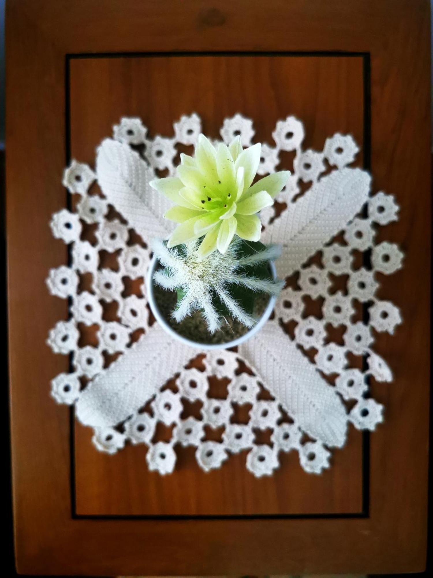 Charming Portuguese Style Apartment, For Rent "Vida A Portuguesa", "Fruta Or Polvo" Alojamento Local 波尔蒂芒 外观 照片